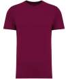 NS305 Native Spirit Unisex Heavyweight T Shirt Cherry Purple colour image